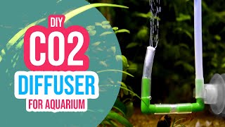 🔥 3 Creative DIY CO2 Diffuser Ideas for Your Planted Aquarium [upl. by Llenil114]