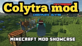 Minecraft 1165  Colytra mod [upl. by Naellij]