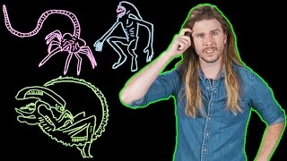 Alien Xenomorph Biology Explained Because Science w Kyle Hill [upl. by Nivi]