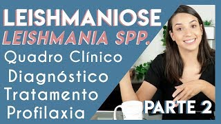 Leishmaniose Leishmania spp  Parte 2  PARASITOLOGIA 5 [upl. by Kliber195]