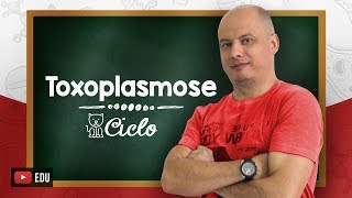 Ciclo da Toxoplasmose I Parasitologia [upl. by Eiramadnil327]