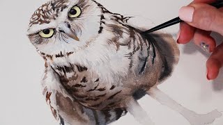 Watercolor Owl Step by Step Tutorial [upl. by Tristam291]