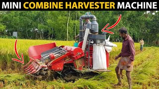 Mini COMBINE HARVESTER Machine  Rice Harvesting Machine [upl. by Purse]