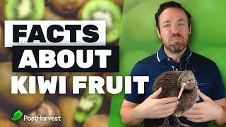 Top 7 Facts About Kiwi Fruit [upl. by Ocana]