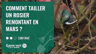 TUTO Comment tailler un rosier remontant en mars   Jardinerie Gamm vert [upl. by Eesyak]