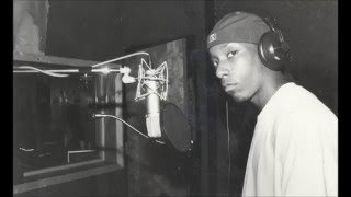 Big L  Best Freestyles 1992  99 [upl. by Leahcam735]