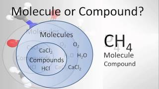 Molecule vs Compound Examples and Practice [upl. by Weixel]