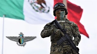 ¿Cómo es la Vida de los FES Fuerzas Especiales de México [upl. by Leirvag750]