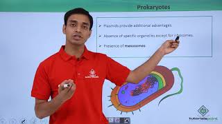 Class 11th  Prokaryotes – Introduction  Cell The unit of Life  Tutorials Point [upl. by Dun545]