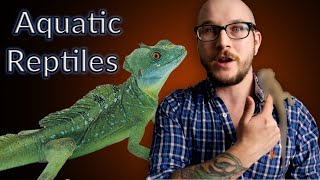 Top 5 Aquatic Reptiles That Make GREAT Pets [upl. by Wilkens]