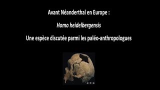 Avant Néandertal en Europe  Homo Heidelbergensis 13 [upl. by Ellery]