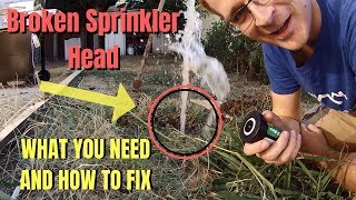 Broken Sprinkler Head  RainBird  What You Need And How To Fix [upl. by Vial]