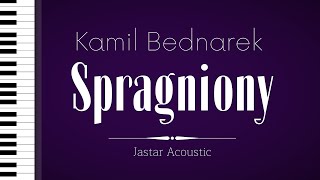 Kamil Bednarek  Spragniony  Karaoke  Piano Instrumental [upl. by Elberta]