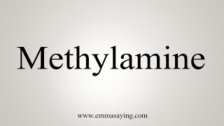 How To Say Methylamine [upl. by Kajdan]