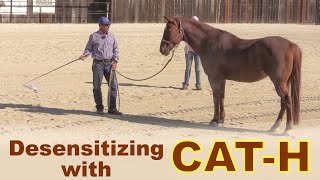 Desensitizing Using CATH [upl. by Zweig371]