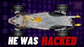 THE WAMPUS WAS HACKED… [upl. by Meuser]