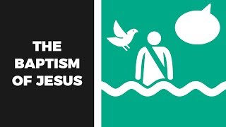 The Baptism of Jesus  A Faith Kids Bible Story Video [upl. by Aivatra]