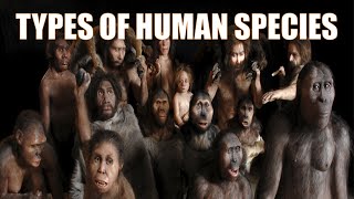 14 Different Types of Human Species  Explained [upl. by Herm]