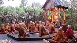 Pali Chanting In The Abhayagiri Buddhist Monastery  Theravada Buddhism [upl. by Boys58]