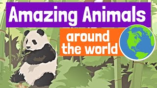 Amazing Animals Around the World for Kids [upl. by Broeker]