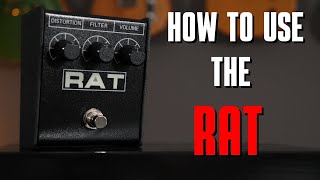 4 Tips How You Can Use The ProCo Rat 2 Distortion [upl. by Questa]