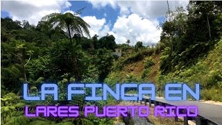 La Finca de Lares Puerto Rico [upl. by Feodor]