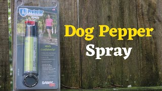 Dog Pepper Spray by SABRE RED Review amp Spray Test [upl. by Huttan]