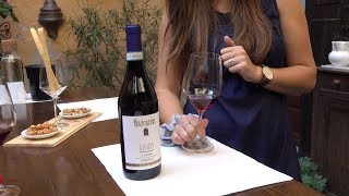 Italian Winery Tour Making Barolo and other Great Wines [upl. by Ahsilram171]