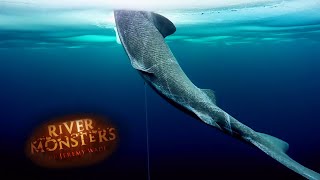 Catching A Mysterious Arctic Shark  SHARK  River Monsters [upl. by Buehrer370]