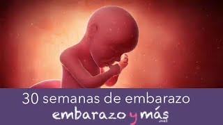 30 semanas de embarazo  Séptimo mes  EMBARAZOYMAS [upl. by Alecram738]