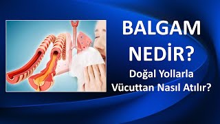 BALGAM NEDİR DOĞAL YOLLARLA VÜCUTTAN NASIL ATILIR [upl. by Eltsyrc266]