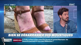 Comment bien se débarrasser des moustiques [upl. by Lienhard]