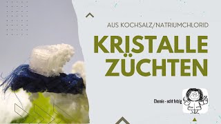 Kristalle züchten DIY  Kristallzucht  mit Experiment [upl. by Reffinnej]