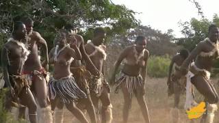 ZuidAfrika Zulu Dans Hluhluwe 13 [upl. by Arukas]