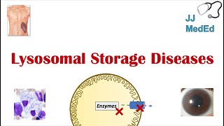 Lysosomal Storage Diseases  Overview and What You Need to Know [upl. by Asseral]