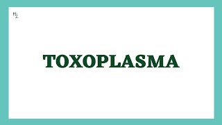 Toxoplasma gondii  Toxoplasmosis  Life Cycle Diagnosis Treatment amp Prevention  MEDZUKHRUF [upl. by Abeh367]