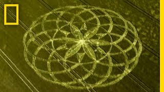 Crop Circle Mystery  National Geographic [upl. by Chiarra467]