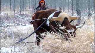 Refitting the Ox Yoke [upl. by Atipul]