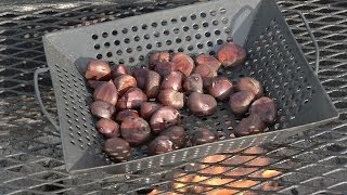 From the Pit How to Roast Chestnuts on an Open Fire [upl. by Gignac]