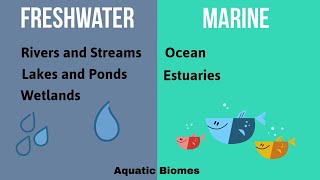 Aquatic Biomes [upl. by Robena701]