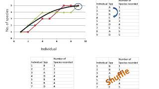 Species accumulation and rarefaction curves [upl. by Tanney]