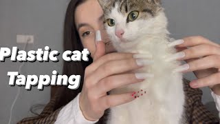 Asmr tapping on plastic cat 😄 [upl. by Sineray]