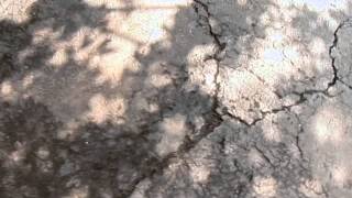 How to Resurface a Driveway [upl. by Darra]