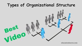 Types of Organizational Structure in management [upl. by Ehcram]