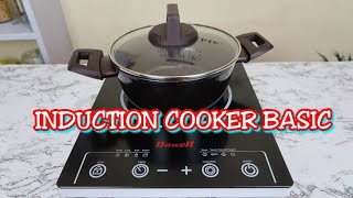 INDUCTION COOKER BASIC REVIEW [upl. by Lanfri]