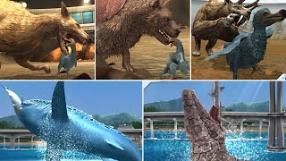 ALL CENOZOIC amp ALL AQUATIC FEEDING OR HUNTING SCENE ANIMATION  Jurassic World The Game [upl. by Vander]