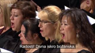 Ludwig van Beethoven  9 simfonija Oda radosti [upl. by Say]