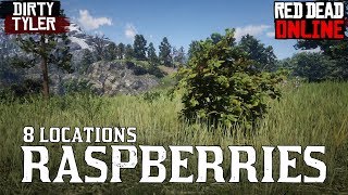 Raspberries RDR2 Raspberry Bush locations Red Dead Online [upl. by Auhesoj]