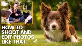 DOG PHOTOGRAPHY  Stunning dog portraits  Settings tips edit [upl. by Aihsemot838]