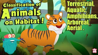 HABITAT OF ANIMALS  Classification Of Animals On Habitat  The Dr Binocs Show  Peekaboo Kidz [upl. by Eannyl]